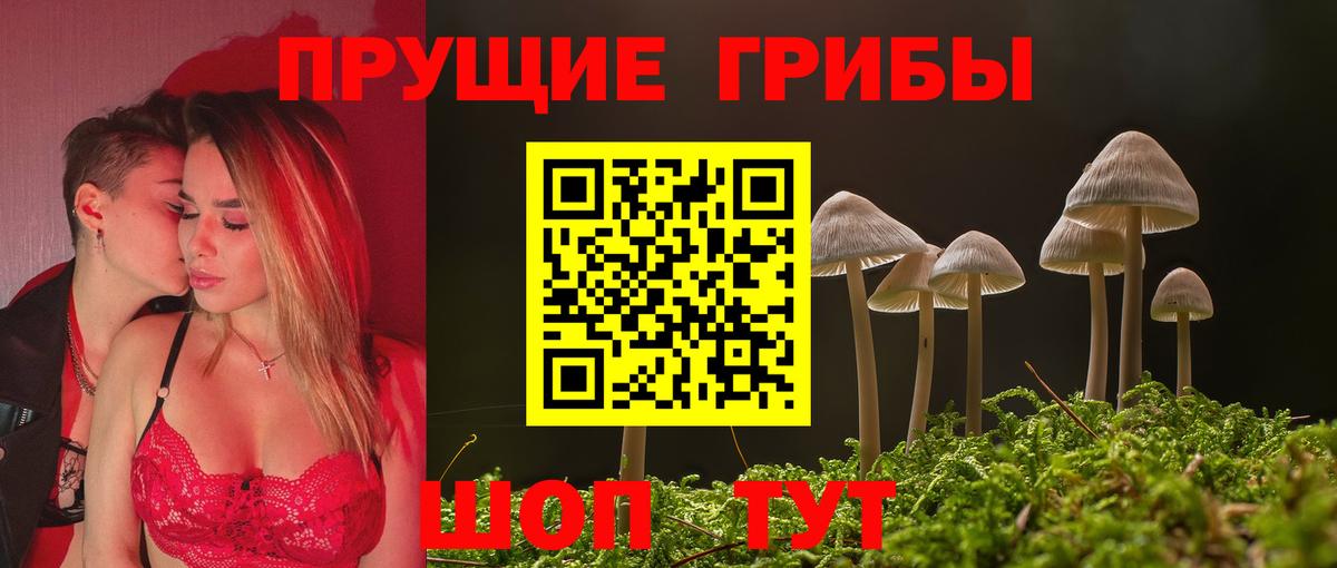 Галлюциногенные грибы Psilocybe  Вход с VPN  Переславль-Залесский 